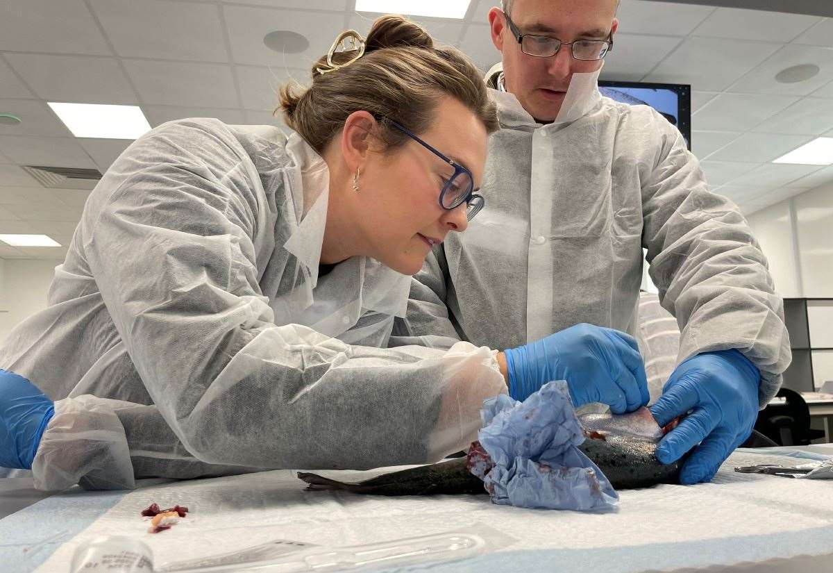 Inverness Veterinary Centre Opens Doors for Public Exploration
