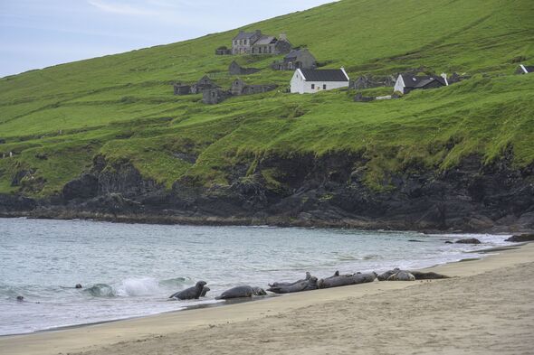 Tiny Irish Island Offers Unique Opportunity for Café Managers